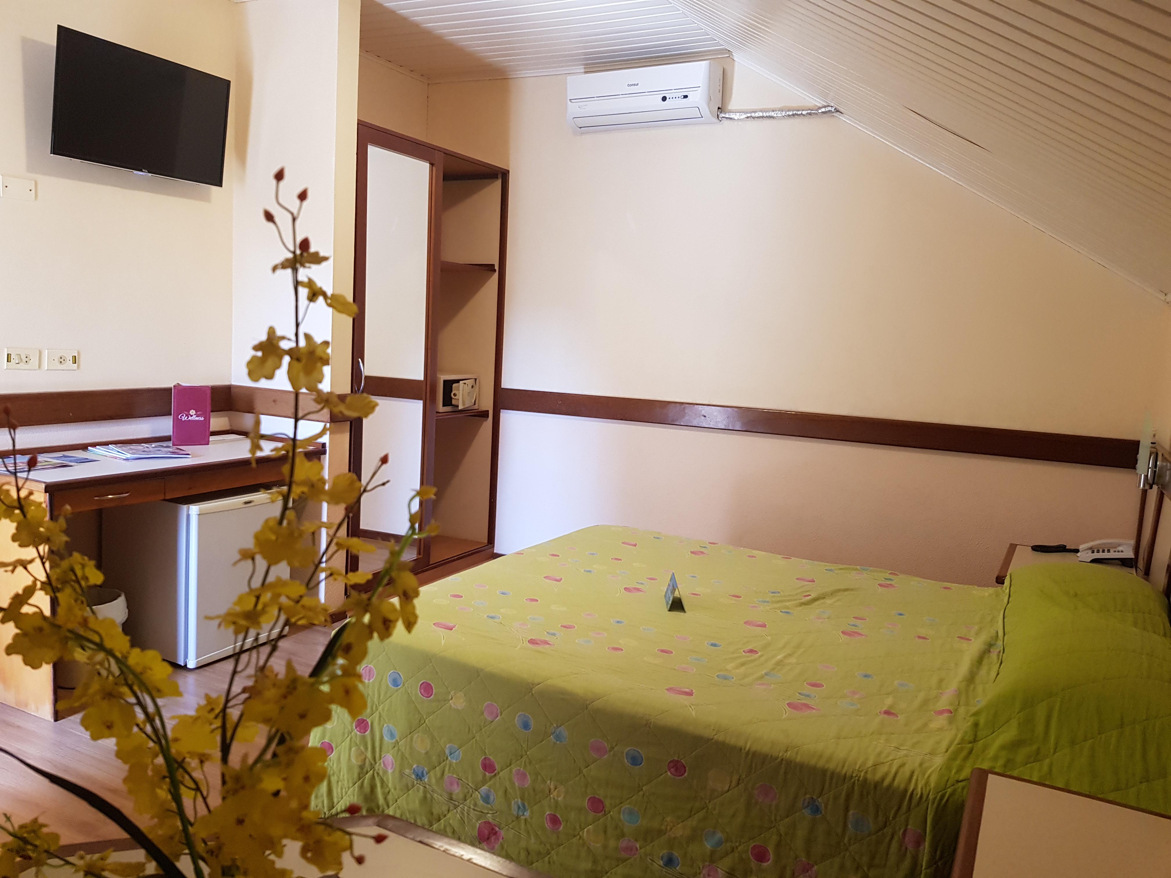 Thermas Park Hotel 3*